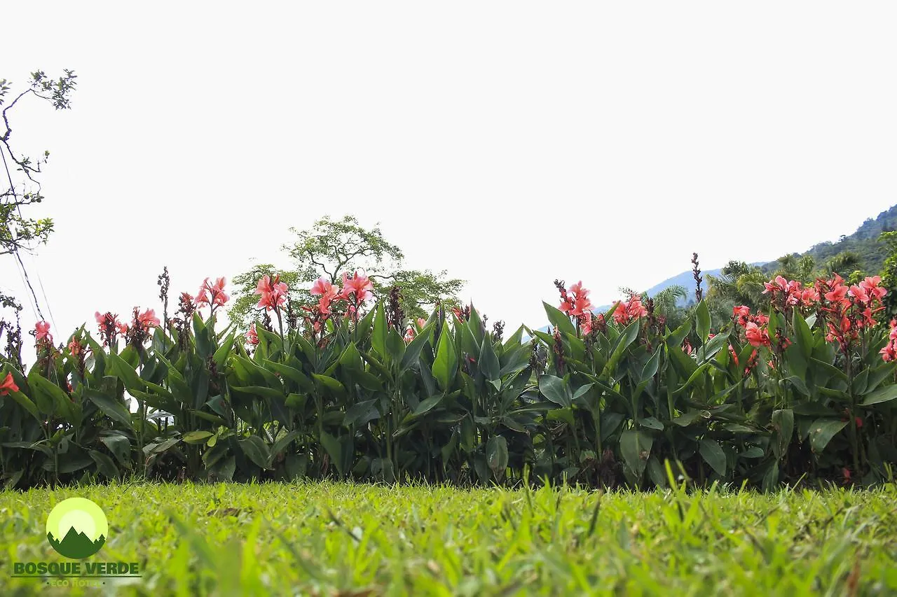 Eco Hotel Bosque Verde Medellin