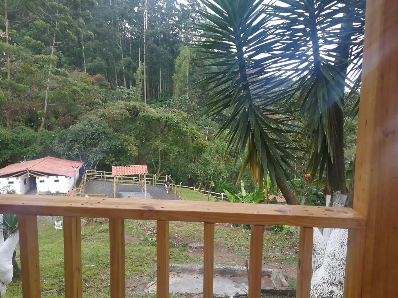 Eco Hotel Bosque Verde Medellin