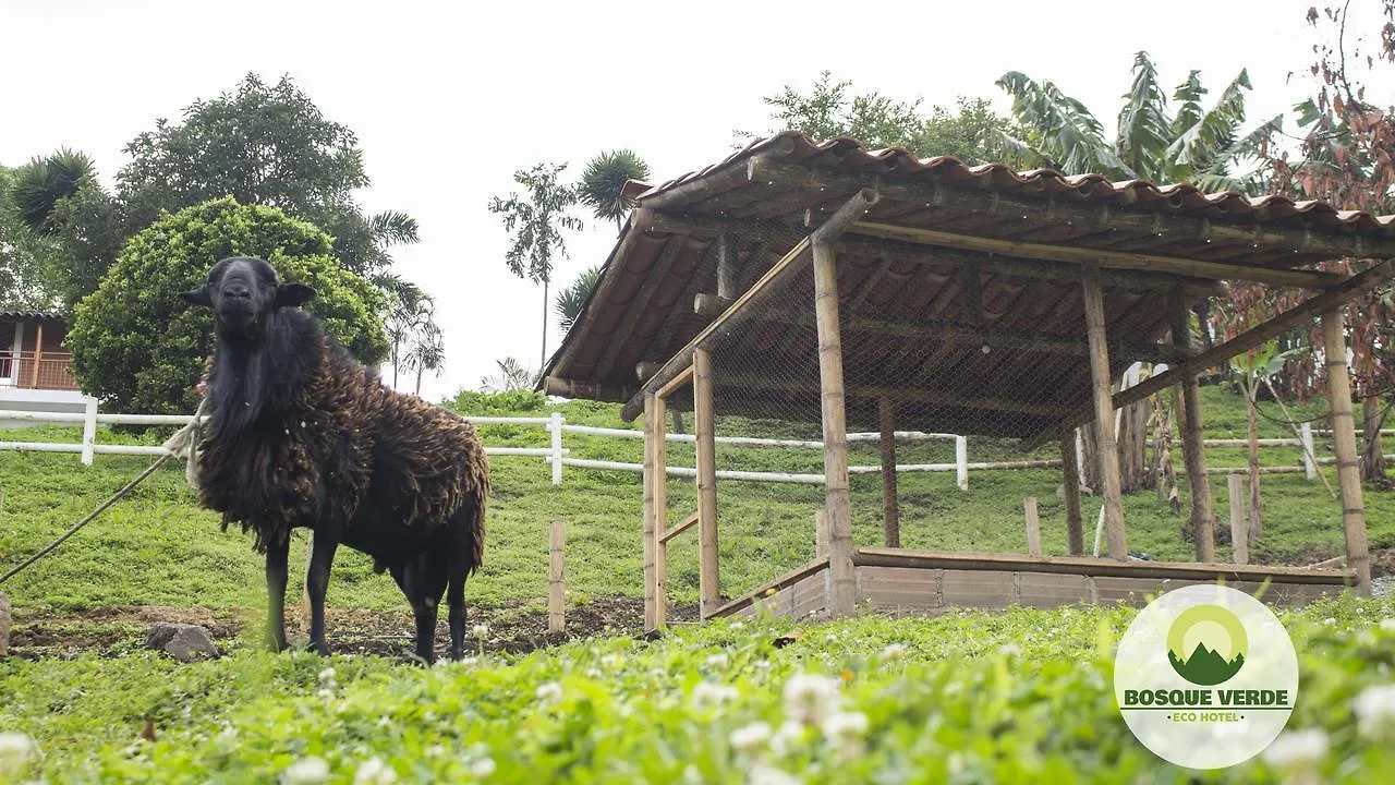 Eco Hotel Bosque Verde Medellín